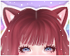 🌙 Lynx Ears Shortcake