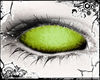 𝓐. Imp ⚤ Moss