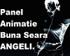 Panel Animatie_Angeli