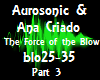 Music Aurosonic & Ana P3