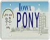 {V} Pony Licence plate