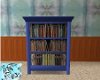 FF~ Blue Book Shelves