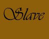 X4 SLAVE COLLAR