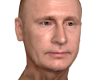 Putin Putin 