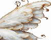 white and gold wings