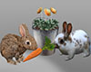 Garden Bunny Rabbits