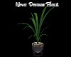 Nova Domus: Plant