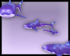 -SA- Space Sharks