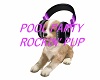 POOL PARTY ROCKIN' PUP