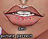 x picture perfect x