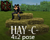 [RK] Hay C Pile