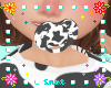 s| Cow Paci Girl