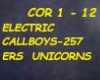 ELECTRIC CALLBOY-257ERS