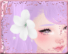 |H| White Hair Flower
