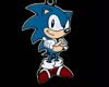 Sonic Earrings