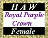 Royal Purple Crown