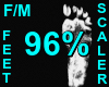 96% Feet Scaler F/M