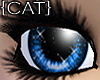 {CAT}Fragile-Blue Eyes