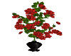 rose in vase antimated