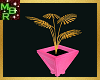 Pink/Gold club plant