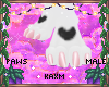 ꨄBlossom Pawsꨄ