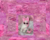 BG + Cutout 60