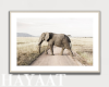 Canvas - Elephant