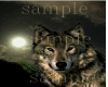 wolf sad