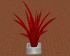 JR Red Reflection plant2
