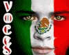DESMADRE MEXICANO VOCES2