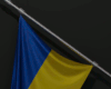 Ukraine Flag Avi