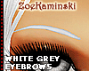 ~ Grey White EYEBROWS 1 
