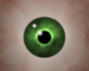 (F) Green Eye