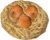 brown egg in the nest