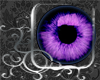 DD purplehaze dream eyes