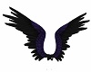 Purple Black Wings Ani