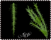Moss &Seaweed Fillers