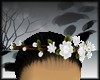 AO~White Floral Crown