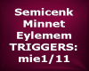 Semicenk Minnet Eylemem