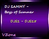 DJSAMMY-BoysOfSummer