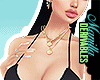 ! Zipper Set