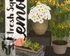 Lemonade Sign w Flowers