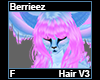 Berrieeze Hair F V3