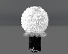 B/W flower bouquet