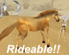 )o( Golden RideableHorse