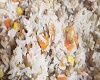 Rice with Veggies