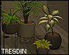 Modern Planter