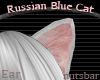 (n) russian blue ears