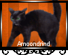 AM:: Black Cats Enhancer
