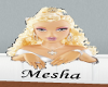 P62 Name Tag Mesha